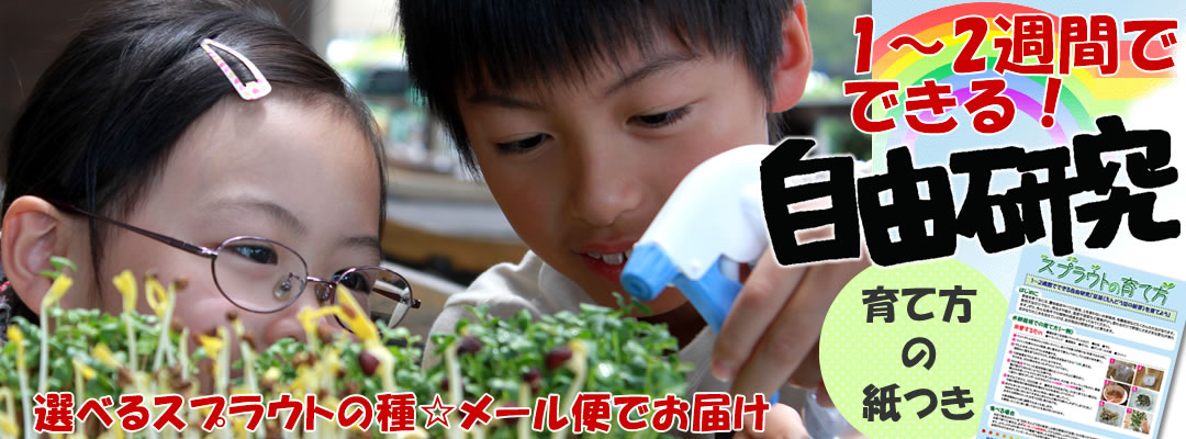 メール便配送☆1〜2週間でできる自由研究の種