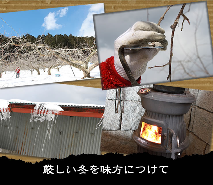 厳しい冬を味方につけて