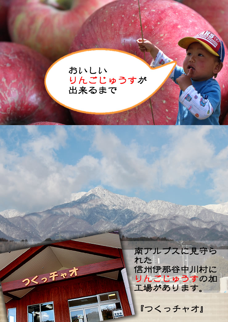 南アルプスに見守られた信州伊那谷中川村のりんごジュース加工場