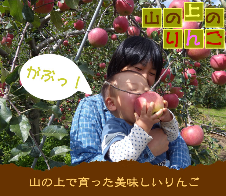山の上で育ったりんご