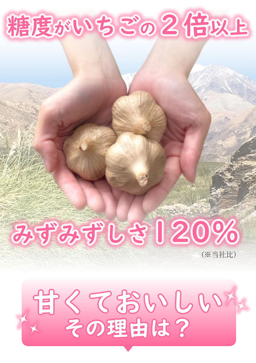 糖度がいちごの2倍以上・みずみずしさ120％(当社比)