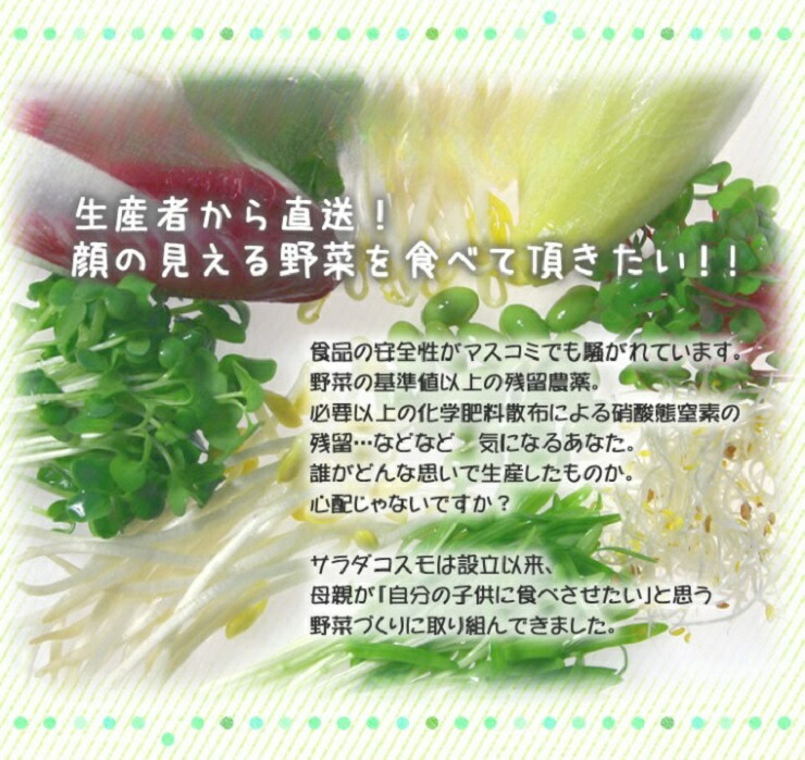 安全・安心・健康　サラダコスモの野菜