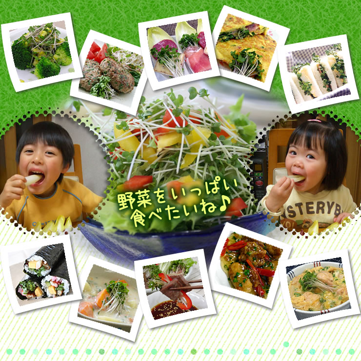 野菜をいっぱい食べたいね♪　えんどう豆の新芽　豆苗