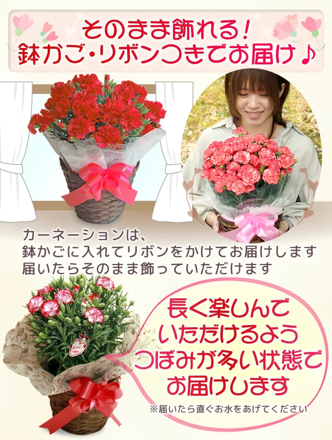 つぼみ多めでお届け