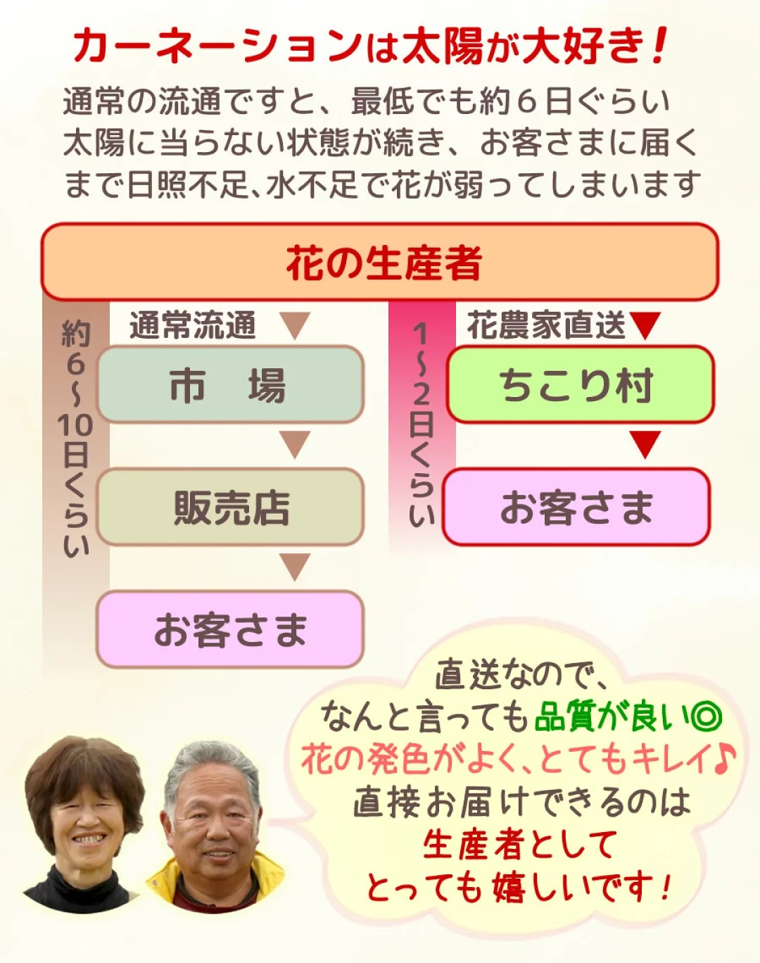 生産者からちこり村へ直送だから新鮮