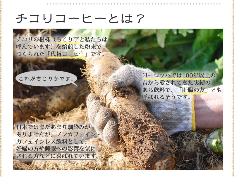 ちこり珈琲とは？