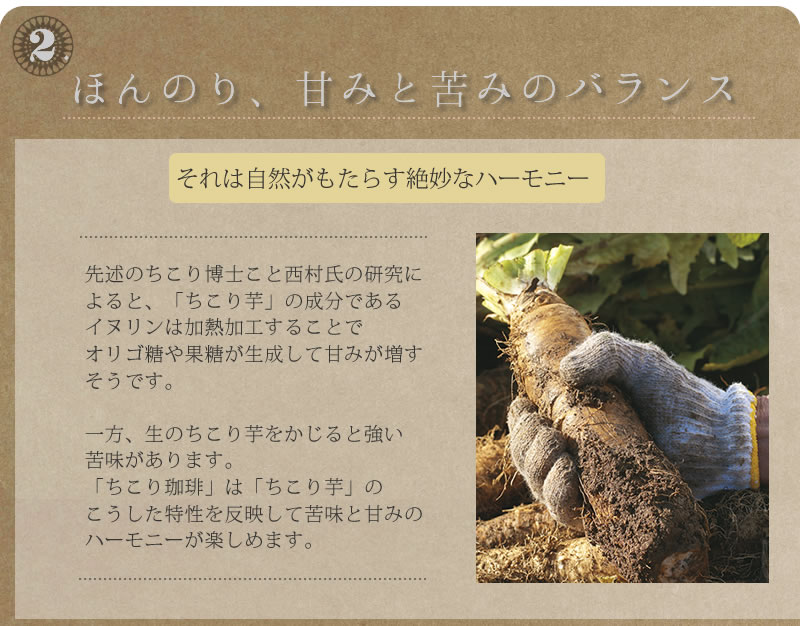 ちこり珈琲　国産ちこりのちこり芋が原料