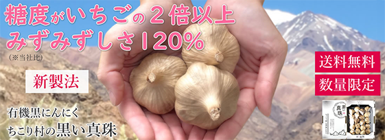 ちこり村の黒い真珠 糖度がいちごの２倍以上！みずみずしさ120％(当社比)