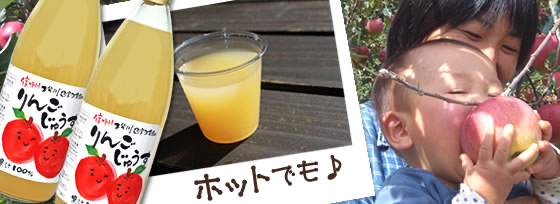 山の上のりんごジュース「ストレート」２本セット【送料無料】