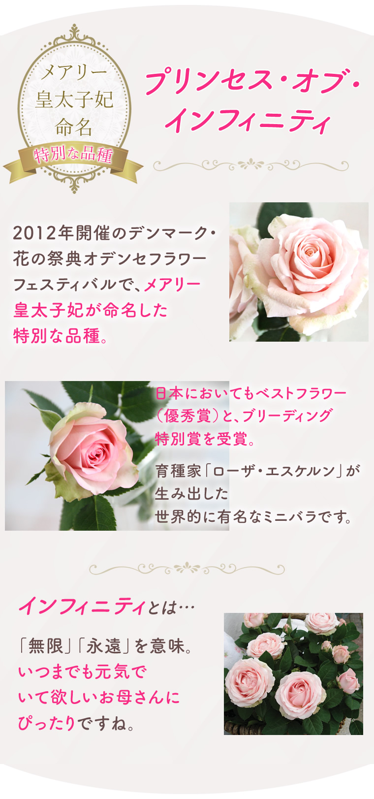 プリンセス・オブ・インフィニティとは