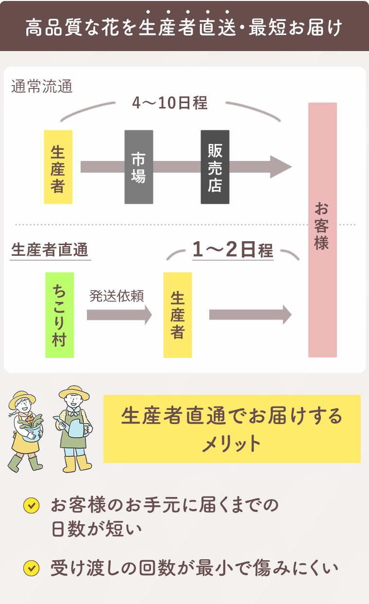 花農家直送だから鮮度が違う