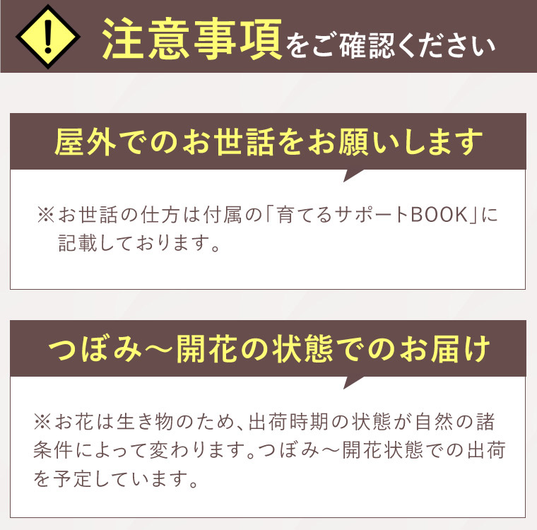 プリンセス・オブ・インフィニティのよくある質問01