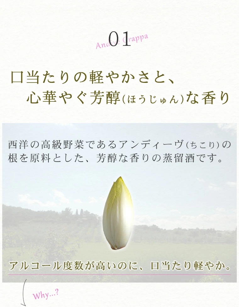 アンディーヴ・スイート44°３つの特長その１芳醇な香り