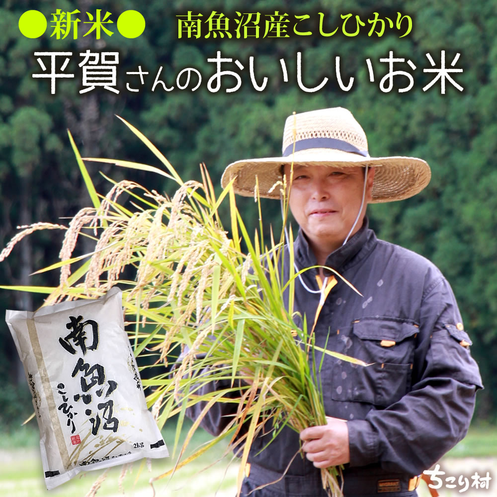 お米ももやしも水が命