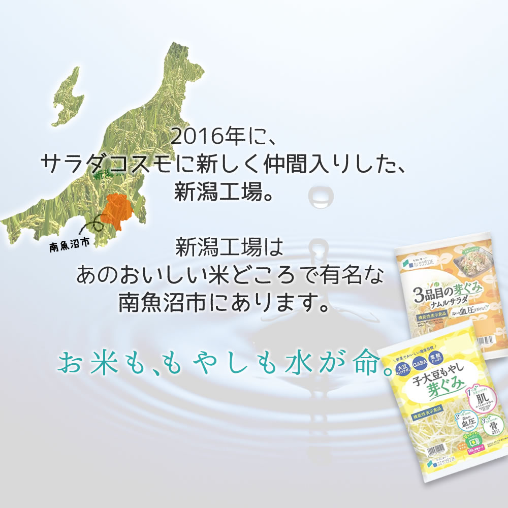 お米ももやしも水が命