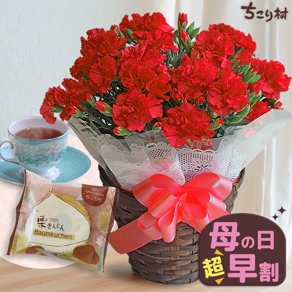 カーネーションミニバウムクーヘンセット