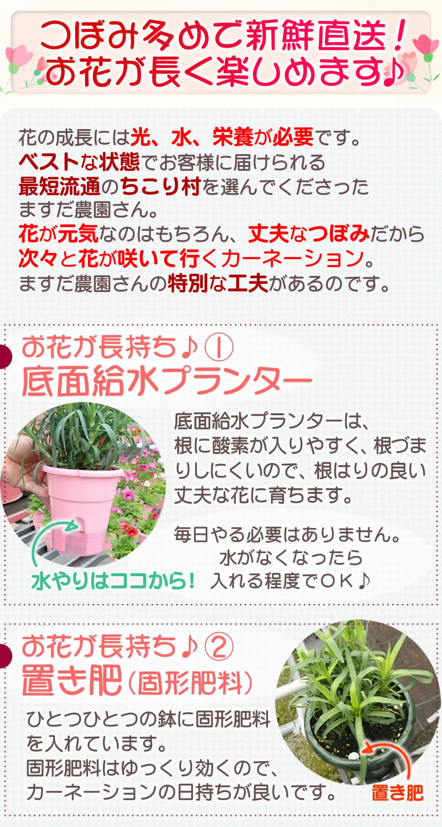 お花が長く楽しめる特別の工夫