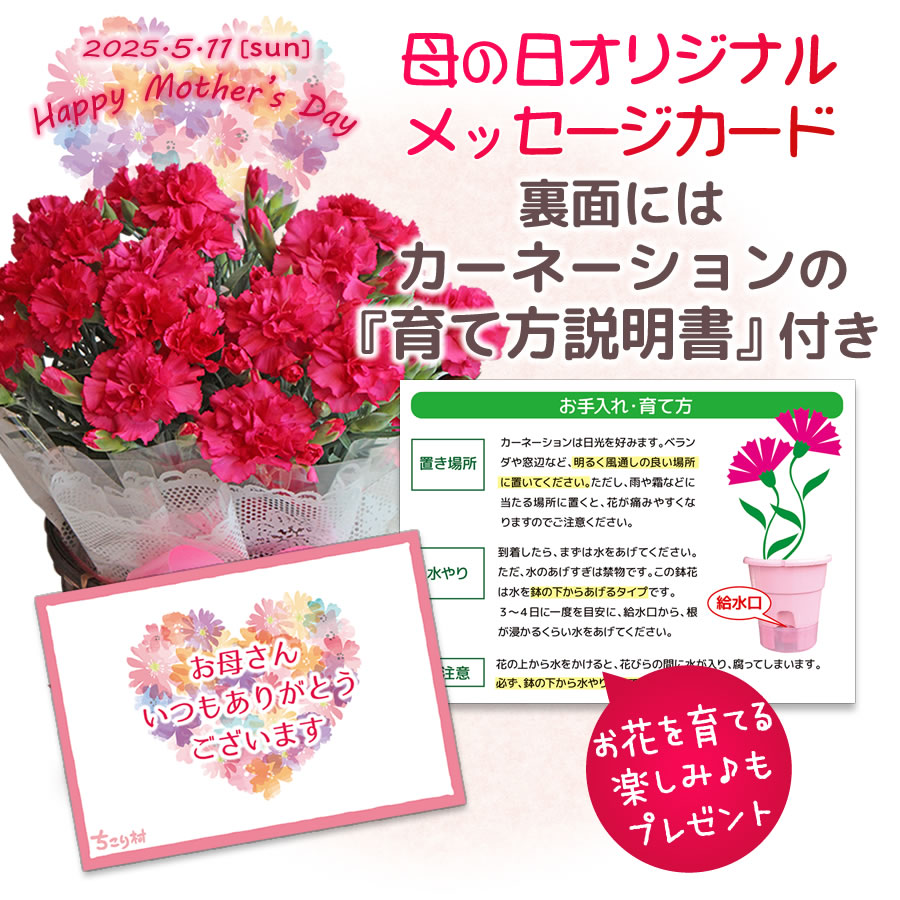 育て方説明書付き