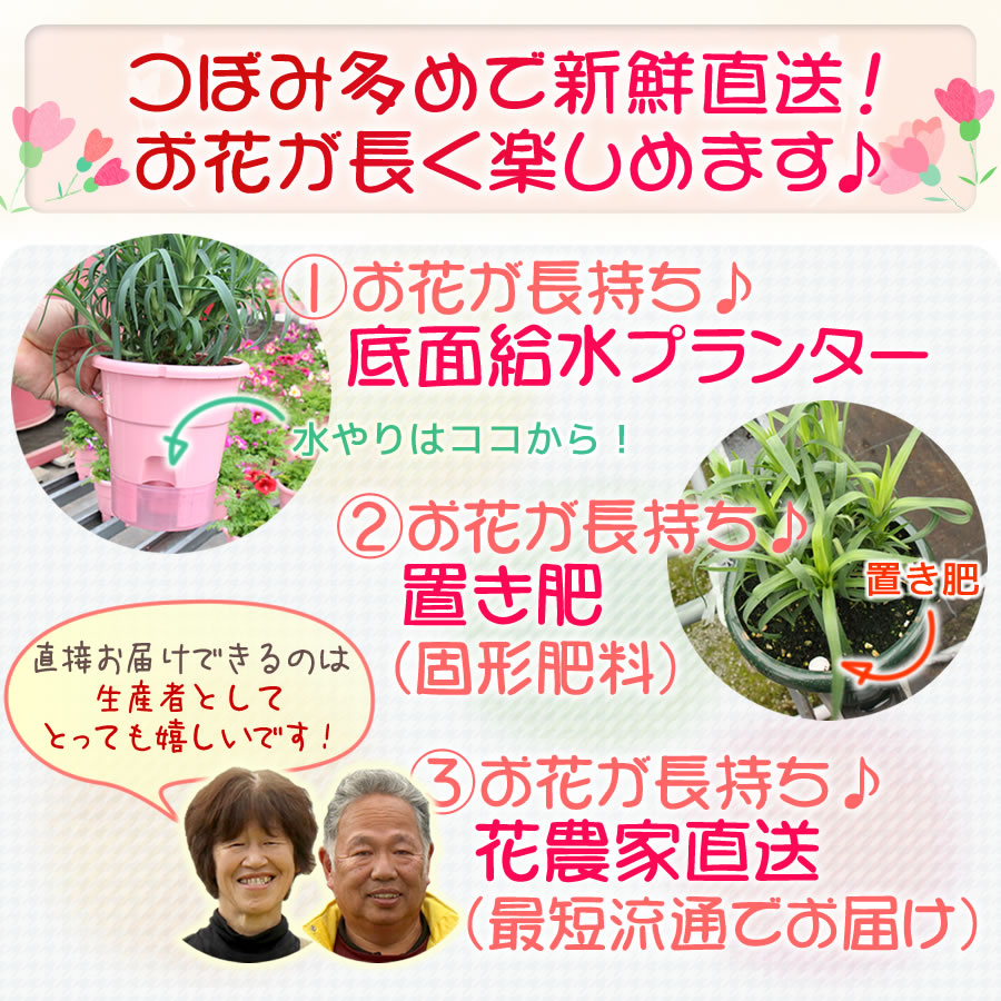 一番良いものをお届け