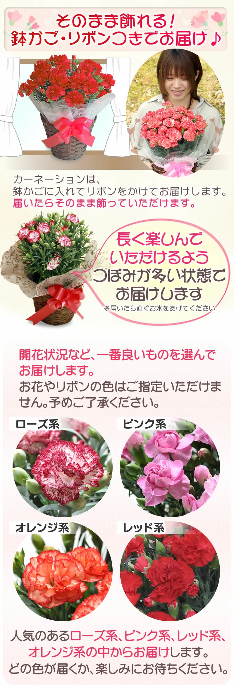 そのまま飾れる鉢かご・リボン付き