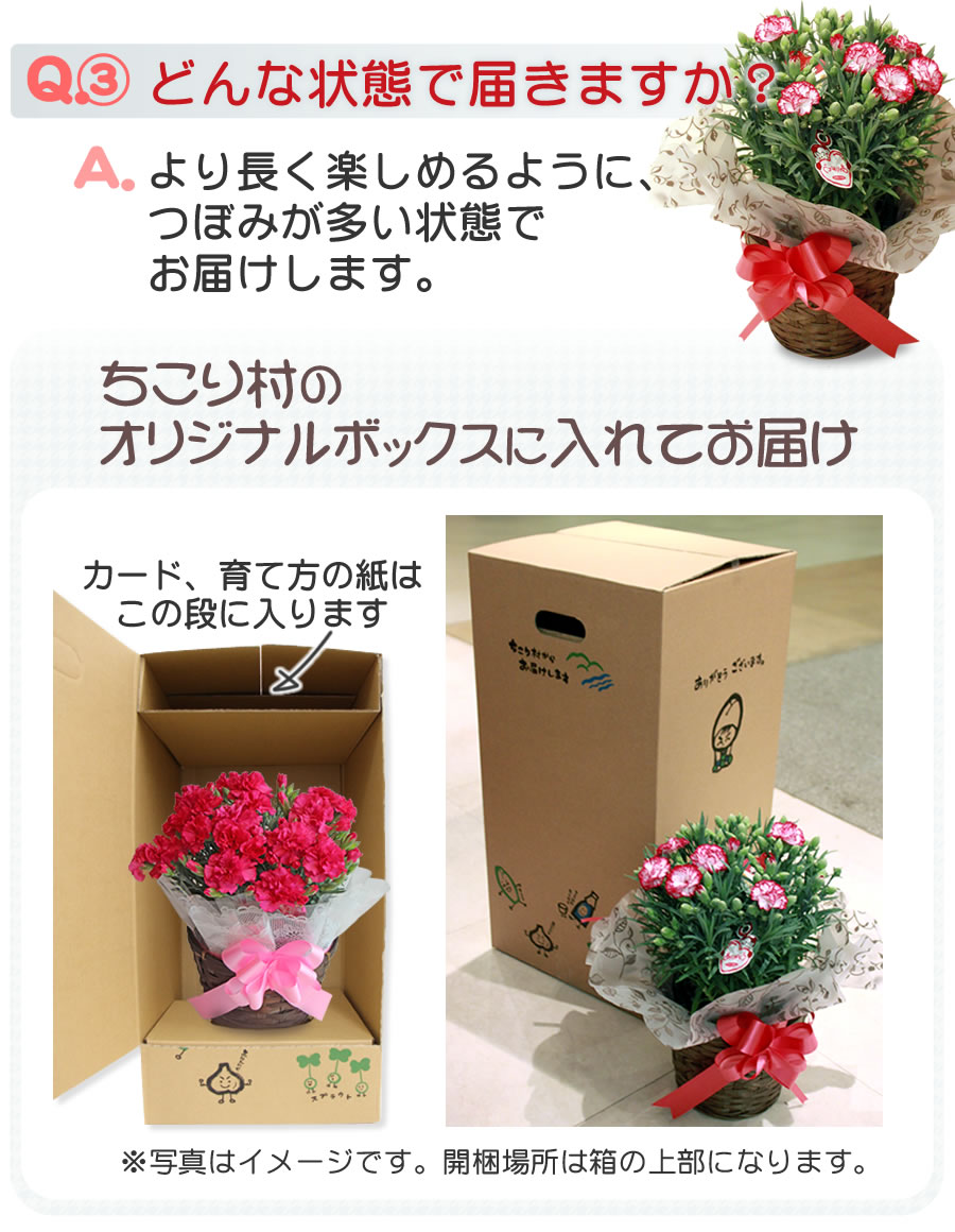Ｑ＆Ａどんな状態で届きますか