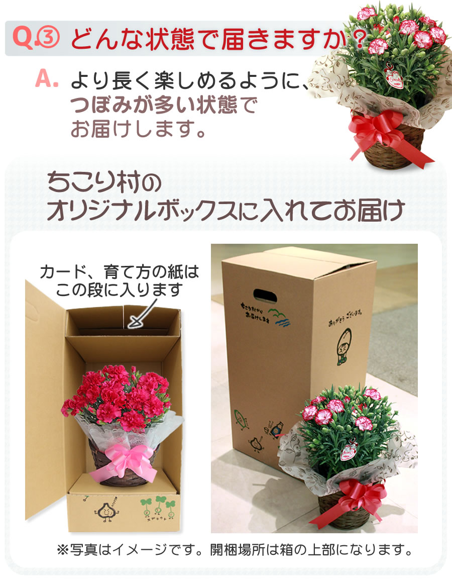Ｑ＆Ａどんな状態で届きますか