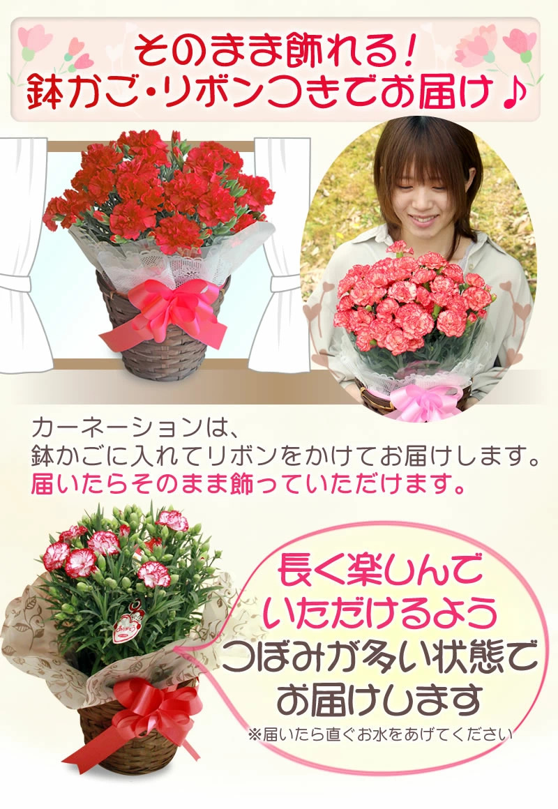 お花を長く楽しめる