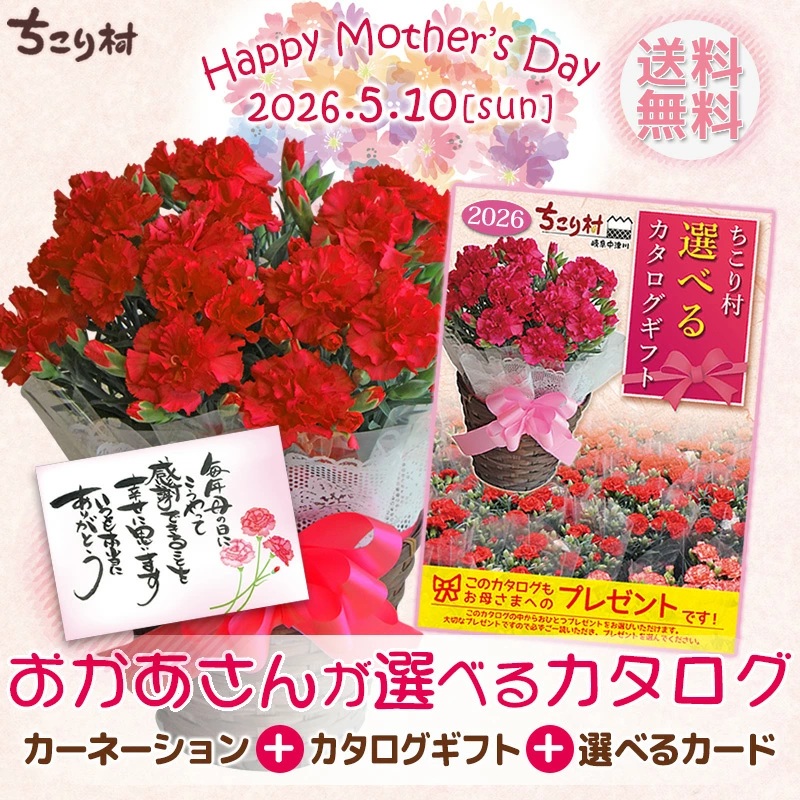 カーネーションとカタログギフトセット