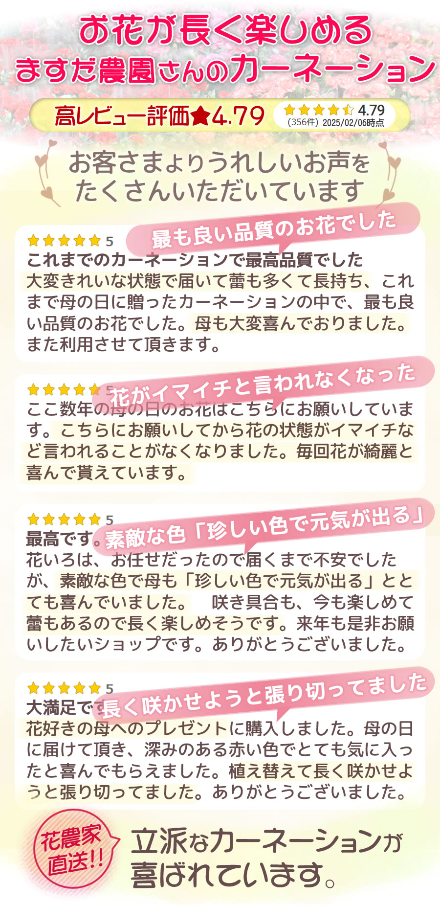 立派なカーネーションが喜ばれています
