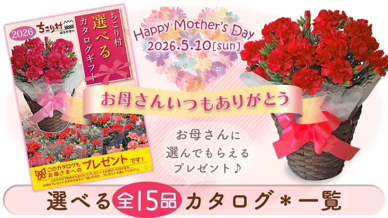 母の日ギフト選べるカタログギフト一覧