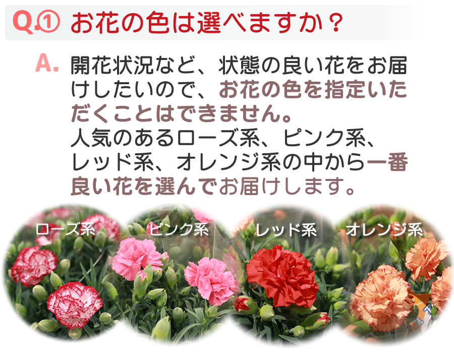 Ｑ＆Ａお花の色