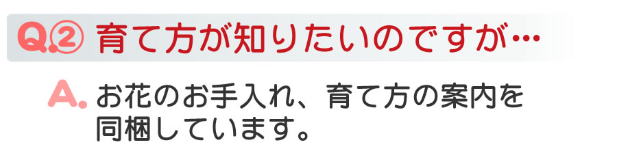 Ｑ＆Ａ育て方