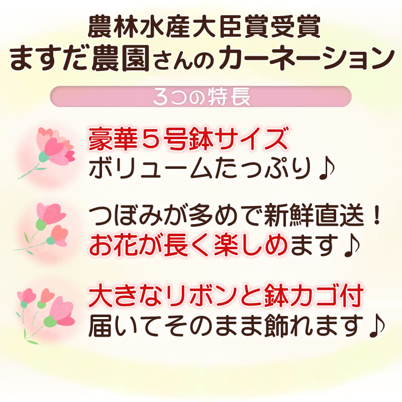 農林水産大臣賞受賞花農家