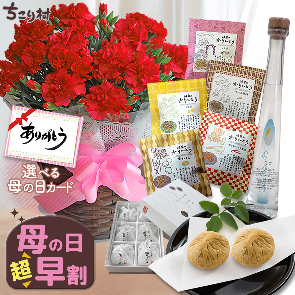 母の日サプライズセット