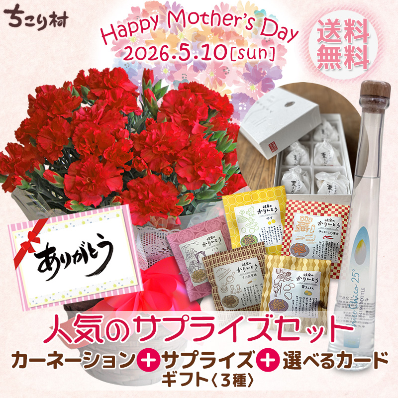 選べる人気のサプライズセット