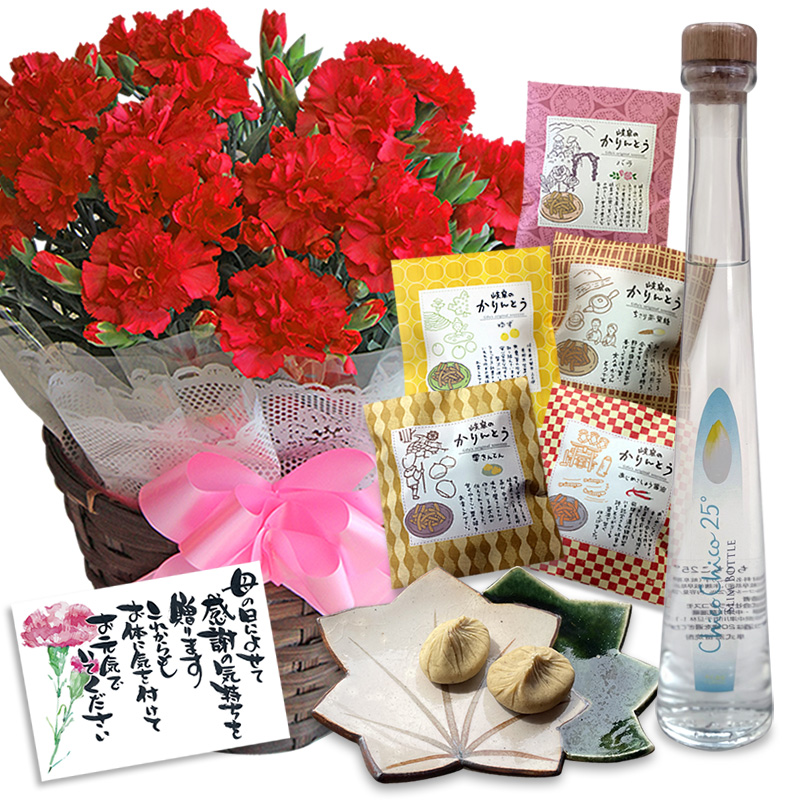 カーネーションとサプライズセット