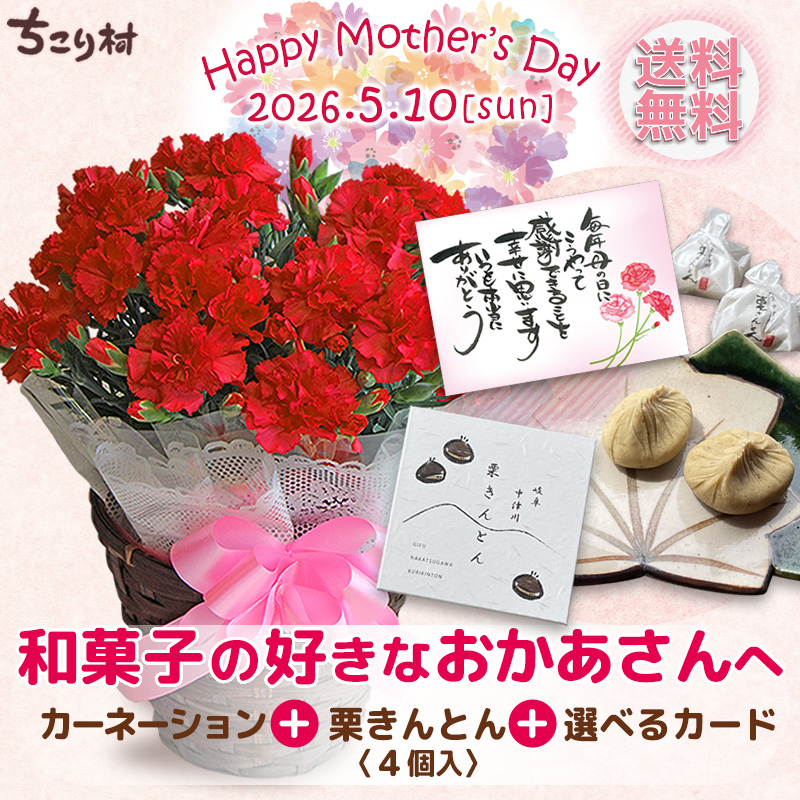 母の日＊カーネーションと和スイーツセット