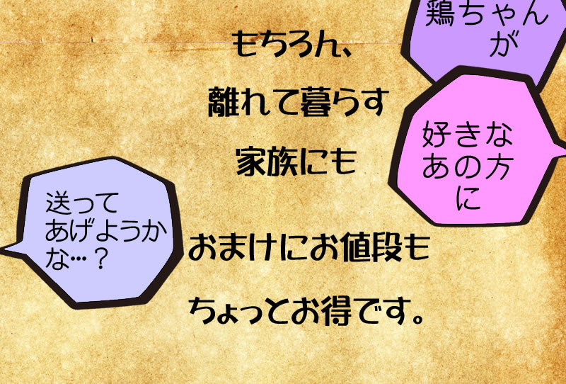 鶏ちゃん　全12州セット