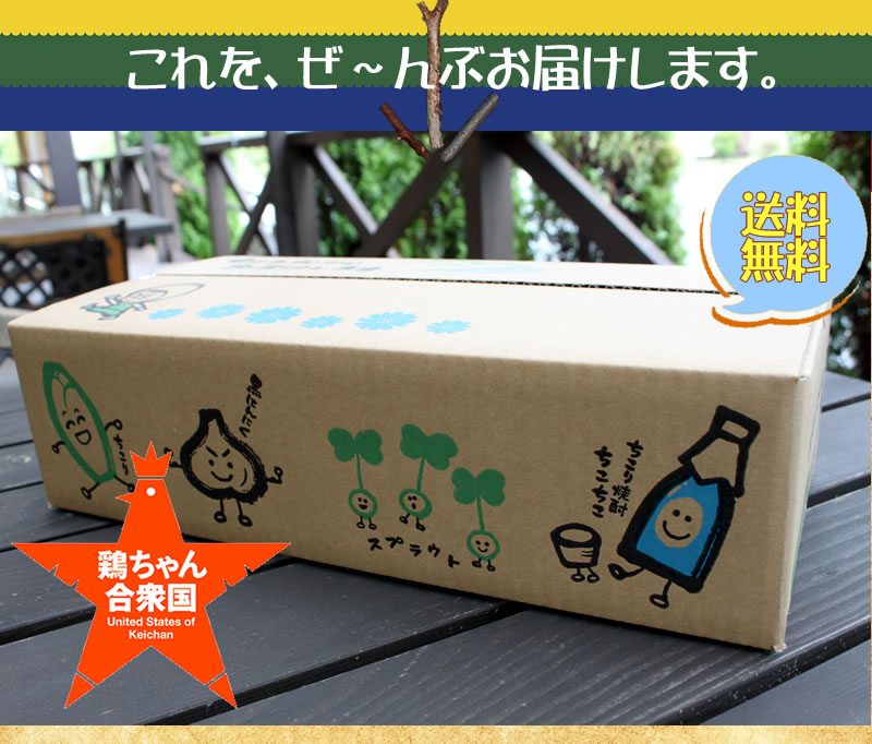 鶏ちゃん　全12州セット