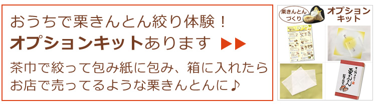 オプションキットあります