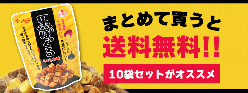 まとめ買いがおすすめ！送料無料の10袋セットはこちら
