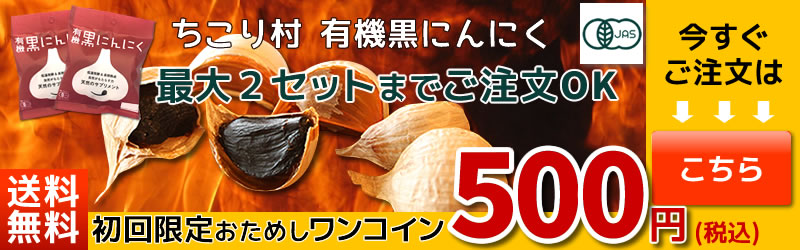 炎イメージ今すぐご注文の方はこちら