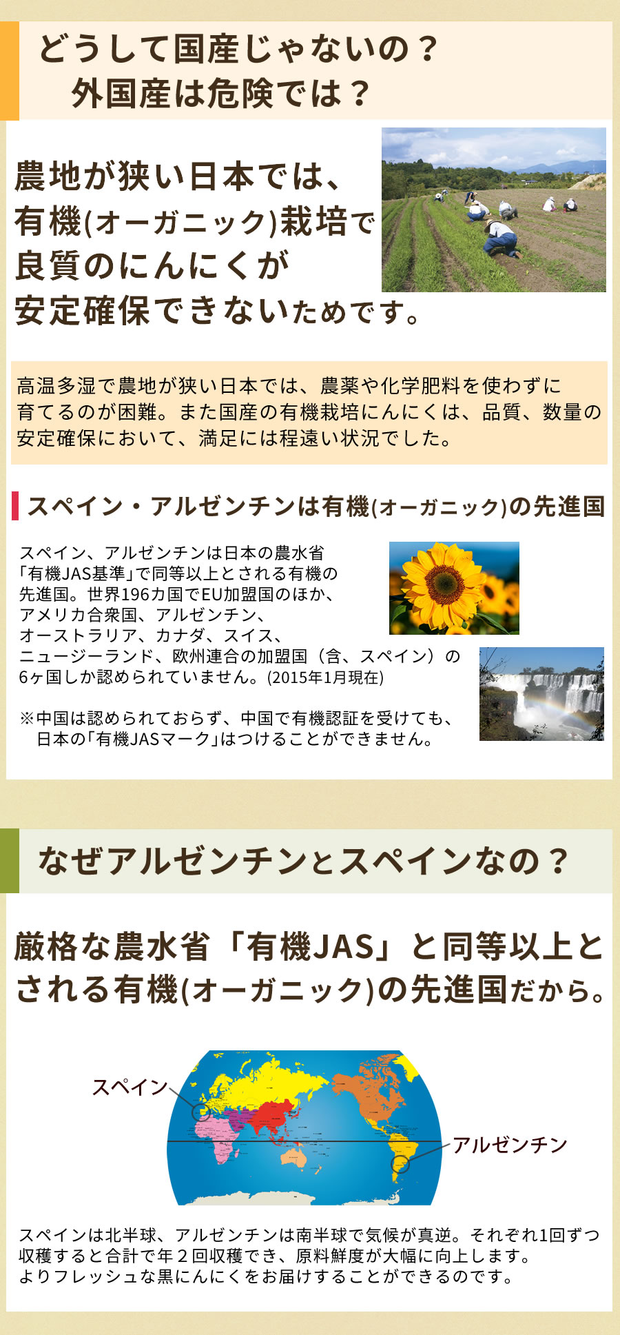 アルゼンチン スペイン