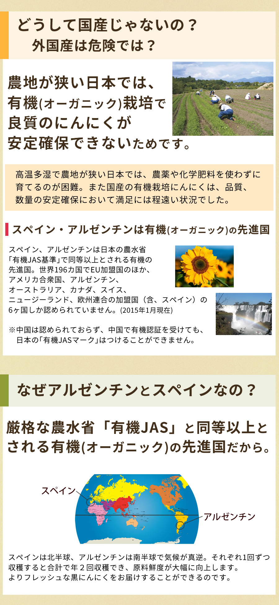 アルゼンチン スペイン