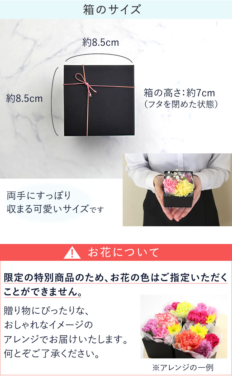 箱のサイズ