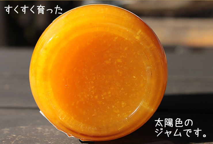 恵那農業高校生徒さんが作った『温州みかんジャム』