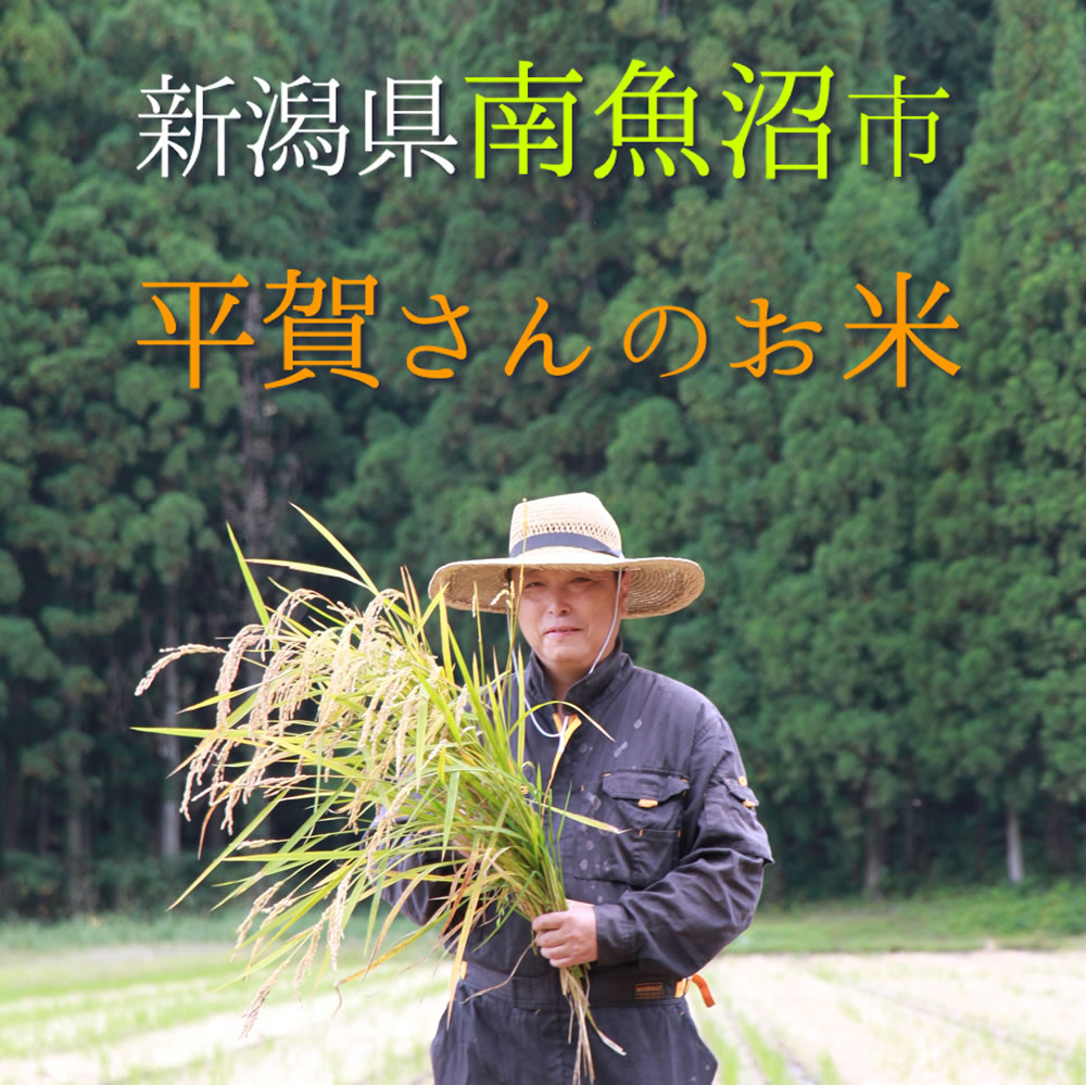 平賀さんのお米