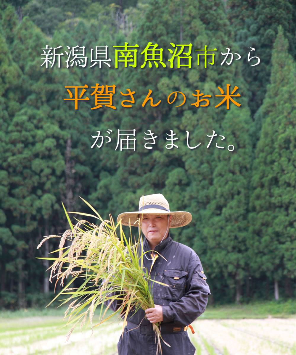 今年も届きました。南魚沼産　平賀さんのおいしいお米
