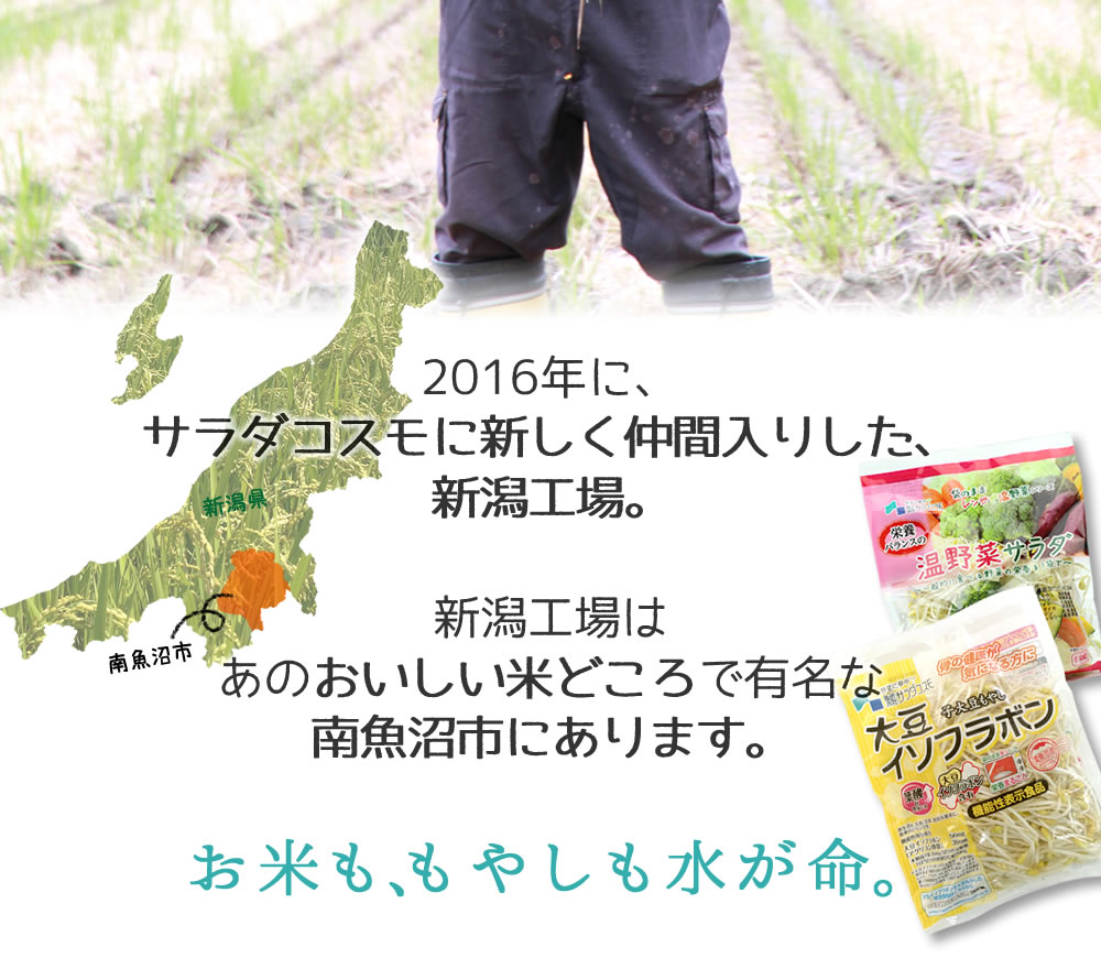 今年も届きました。南魚沼産　平賀さんのおいしいお米