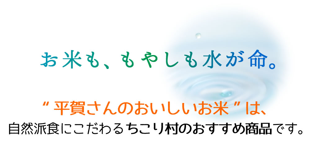今年も届きました。南魚沼産　平賀さんのおいしいお米